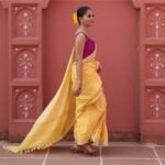 Latest Festive Saree Trends Every Woman Should Try in 2026
